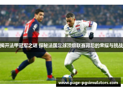 揭开法甲冠军之谜 探秘法国足球顶级联赛背后的荣耀与挑战